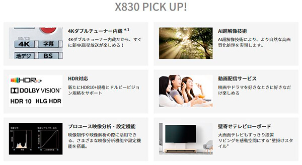 REGZA X830