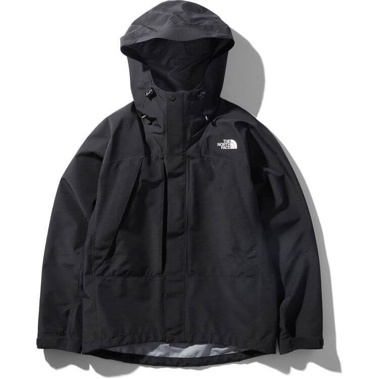 THE NORTH FACE ザ ノースフェイス GORE-TEX マウンテンライト ジャケット マウンテンパーカー Mountain Light Jacket アウター ブラック(K) L シンプル カジュアル 【メンズ】【美品】